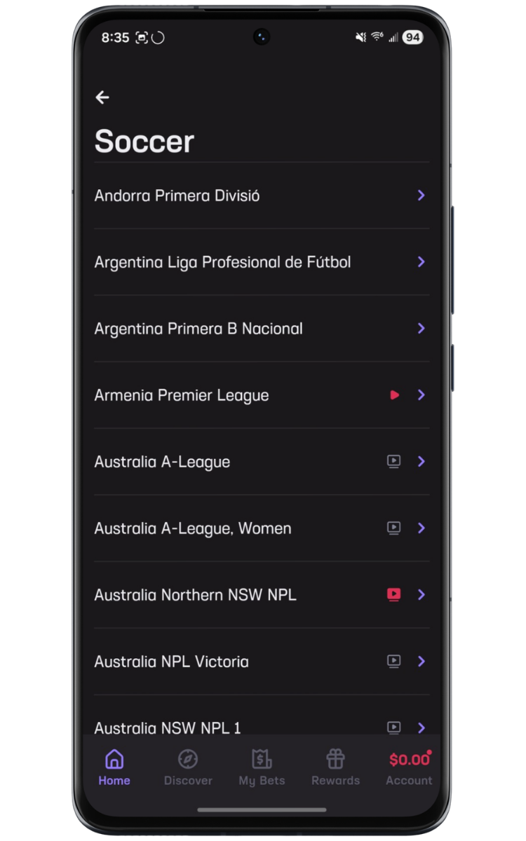 Hard Rock Bet Soccer Leagues Offered