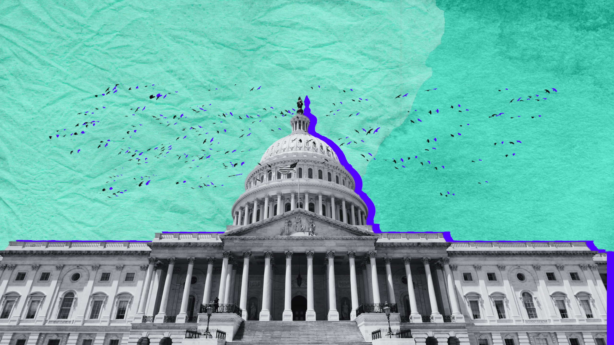 Washington D.C Betting Apps