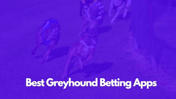 Best Greyhound Betting Apps