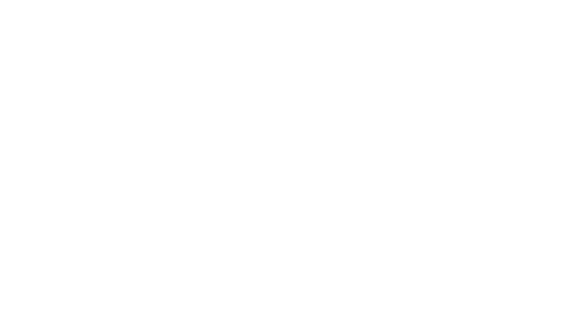 Virgin Bet Logo transp
