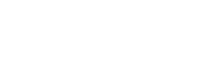 Wager Lab logo transparent