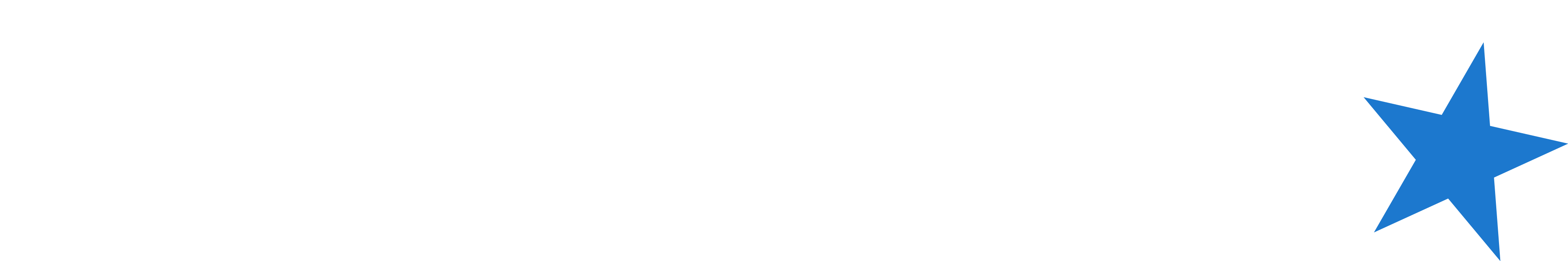 Northstar bets logo white