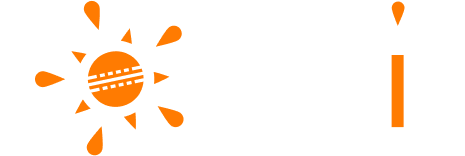 Desi logo white