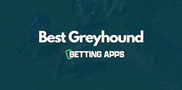 Greyhound betting apps