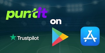 Puntit app review