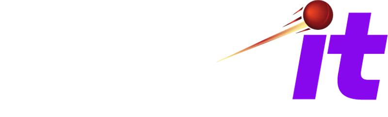 Puntit logo white