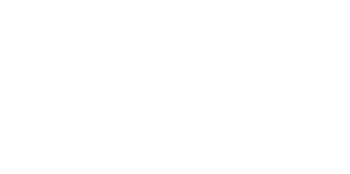 Stake logo white
